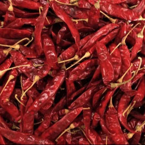 Hot Deal with Best Price Sanam S4 High Quality Hot and Spicy seasoning <b>Dried</b> Chili Pure Natural India Grade 334Dried <b>Red</b> Chili - Product Image 1