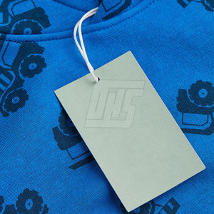 Sweats à capuche pour garçons, légers, pull-over, en molleton de coton chaud, pour le sport, la gym et les vêtements décontractés - Product Image 4