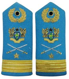 Alta calidad personalizado bordado Air Shoulder Boards WOK uniforme charreteras rango algodón/Nylon/poliéster equipo de defensa personal - Product Image 2