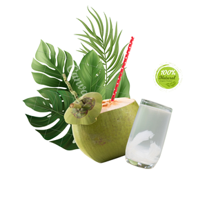 Les 10 meilleures façons créatives de profiter de l'eau de coco fraîche et jeune avec Shell - Product Image 3