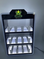 Vitrine de Présentation de Stylos à Tabac Tinya, Vitrine LED Vape, Présentoir de Comptoir en Acrylique pour Magasin de Tabac et Électronique