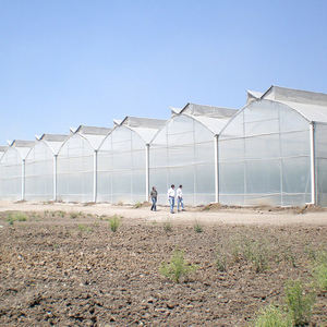 Invernadero Premium Grande de Doble Capa y Múltiples Vãas con Lámina de PE Duradera Antigoteo y Control de Temperatura para Agricultura - Product Image 1