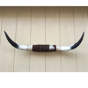 Decoración de Pared de Cuerno de Toro Estilo Vintage, Cuerno de Búfalo Indio Decorativo, Ecológico, Hecho a Mano, Decoración Animal para el Hogar - Product Image 4