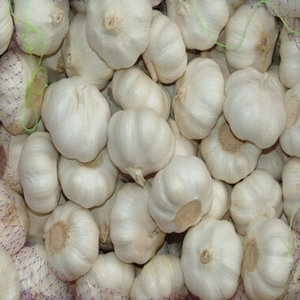 Ail blanc frais en gros, certifié FSSAI ISO HACCP, pureté 99%+, durée de conservation 1 an - Product Image 4