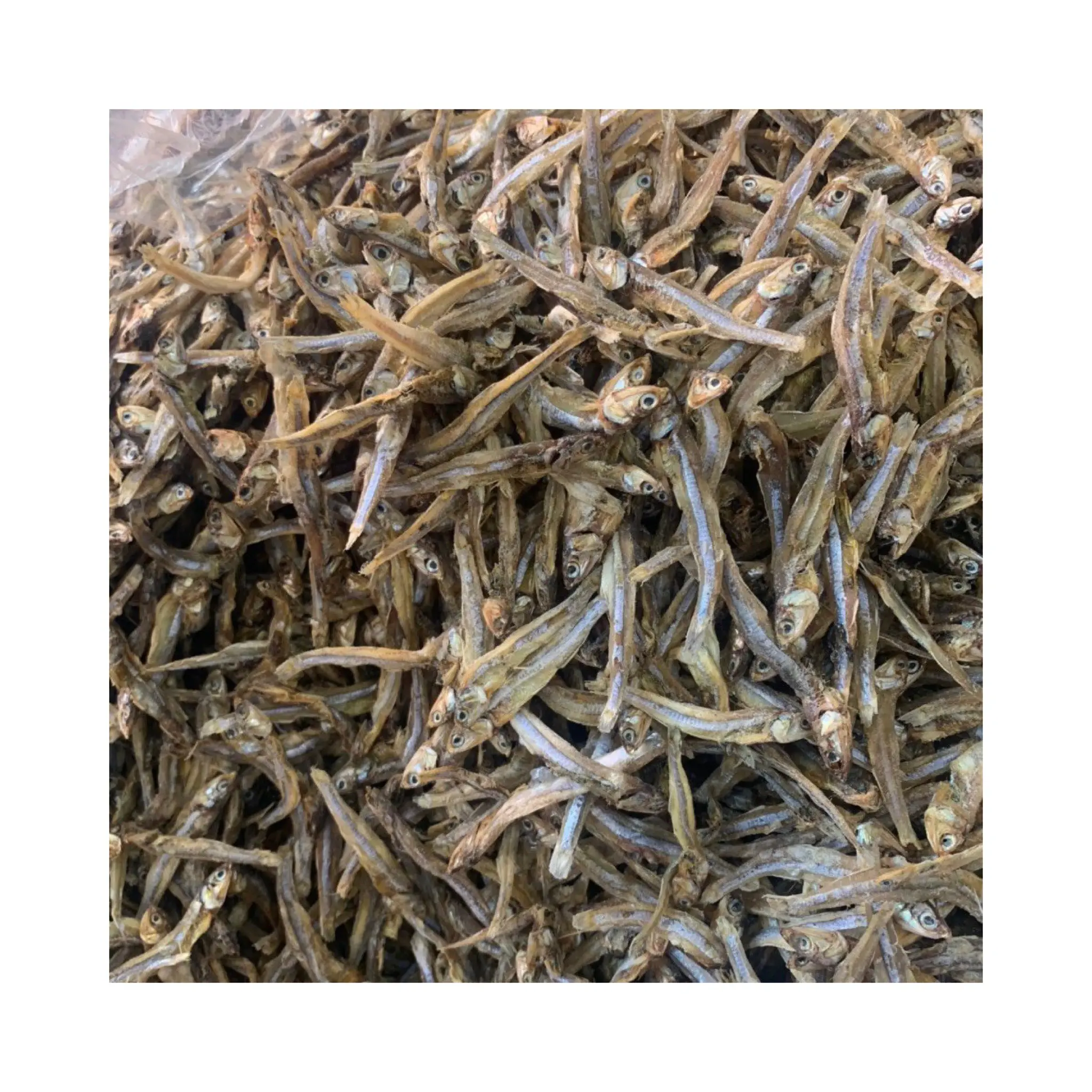 Dry fish Anchovy / Sprats well dried seafood Available / 99 Gold Data Ms Elysia WA 0084789310321