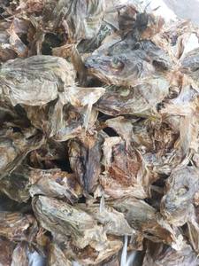 Fournisseur en gros d'aliments marins congelés, séchés, nettoyés et emballés, exportés et conservés - Product Image 4