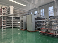 Cage à poules en acier galvanisé avec système d'alimentation et d'abreuvement automatique pour élevage avicole