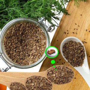 Dill | Fresh Harvest <b>Herb</b> for Seasoning Manufacturers - Product Image 1