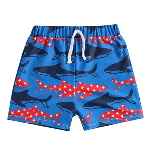 Shorts pour hommes Shorts de bain pour hommes Maillots de bain d'été Homme Maillot de bain Maillot de bain Sexy Shorts de plage Planche de surf Vêtements pour hommes Pantalons - Product Image 4