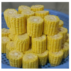 Produits de maïs sucré congelés Segments coupés en épi et grains congelés Origine du Vietnam - Product Image 3