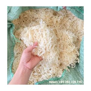 สาหร่ายทะเลดิบจากเวียดนามสำหรับทำแคปซูลซีมอส คอมโบสาหร่ายทะเลบริสุทธิ์ ขายส่งจำนวนมาก สาหร่ายทะเลแห้งในเวียดนาม - Product Image 1