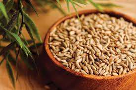 Blé de qualité supérieure 100% naturel, qualité d'exportation, qualité alimentaire, provenant d'Inde, avec certifications FSSAI et ISO, à vendre - Product Image 4