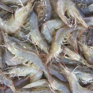 สำหรับฤดูกาลใหม่กุ้งดิบป่าจับสดในทะเลลึกแช่แข็งสะอาดกุ้ง vannamei กุ้งขนาด100/200กระจก30% BQF ทอดขนาดใหญ่ - Product Image 4