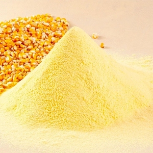 Almidón de maíz de alta calidad para aplicaciones farmacéuticas e industriales de alimentos Almidón de maíz puro sin gluten sin OGM a granel - Product Image 2
