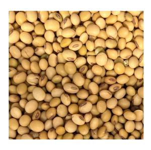 ขายส่งถั่วเหลืองเบลเยียมราคาถูก ปลอดจีเอ็มโอ - Product Image 4