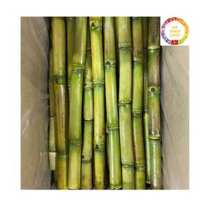 Bâtonnets de canne à sucre congelés du Vietnam : Le meilleur choix pour les usines de fabrication de boissons et les acheteurs internationaux - Product Image 4