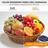 Bande lumineuse LED COB à CRI élevé Ra95+, sans points lumineux, 528 LED/m, DC24V, éclairage linéaire flexible pour musée et vitrine de luxe, IP20