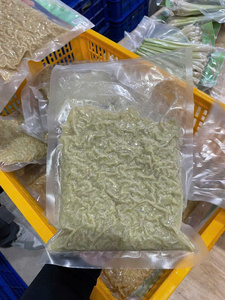 Premium Quality Frozen Lemongrass in Bulk Directly Export from Vietnam Suppliers - Product Image 4