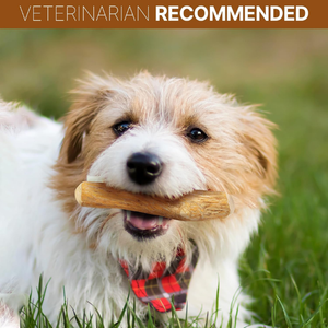 La mejor opción para su mascota Café Madera Perro Masticar/Café Natural Madera Masticar Palo para perro Seguro y Respetuoso con el medio ambiente Hecho en Vietnam - Product Image 3