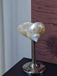 Cristal de concha artesanal para decoración del hogar y tiendas de regalos - Product Image 5