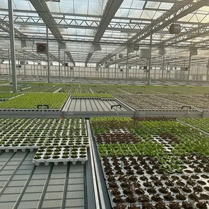 Solution d'agriculture intelligente : Serre en verre avec capteurs intégrés pour un contrôle automatisé des nutriments et de la fertigation - Product Image 5