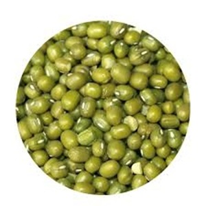 ซื้อถั่วเขียวถั่วเขียวเพื่อการส่งออกในราคาฟาร์ม - Product Image 1