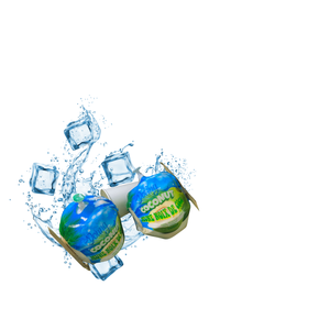 Cadeau de noix de coco vietnamienne fraîche de produit agricole de la nature - Product Image 5