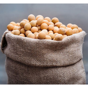 Organic Dried <b>Soybeans</b> Non-GMO High Quality Bulk Wholesale - Product Image 2