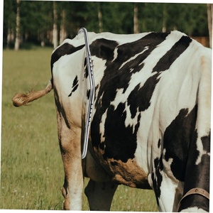 Barra Antipatadas Ajustable Ariston International de Acero Inoxidable para Ganado, Nueva Condición, con Rodamiento Central - Product Image 6