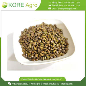 Venta al por mayor 100% semillas naturales de Cassia Tora sin cafeína de alta calidad a la venta - Product Image 6