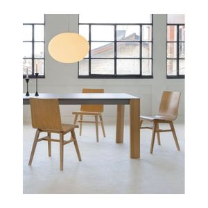 Chaises de salle à manger en contreplaqué plaqué multicolore écologique personnalisé en gros pour la maison bureau hôtels USA UE Japon Corée Design moderne - Product Image 2