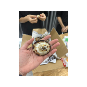 Conchas marinas mixtas naturales de primera calidad para manualidades, decoración del hogar, accesorios para acuarios, venta al por mayor a granel de Vietnam - Product Image 3