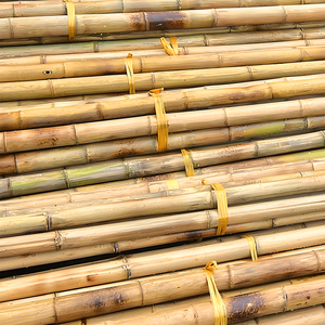 Postes de bambú natural de Vietnam confiables para cercas, sitios de construcción y paisajismo, duraderos, respetuosos con el medio ambiente, personalizados, a la medida - Product Image 3