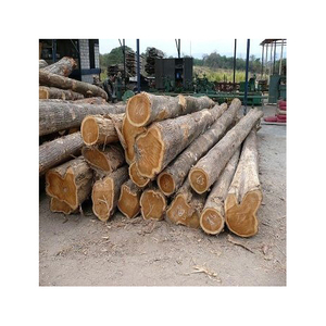 Troncos de ciprés Madera redonda Tipos de teca y acacia Carga a granel Fabricantes de leña Mejor precio Madera de pino seca 100% - Product Image 2