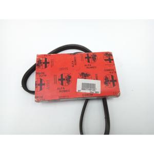 Cinghia di Servizio per ALFA ROMEO 155 Serie (167_) (94>97) 7749145 Diesel - Product Image 5