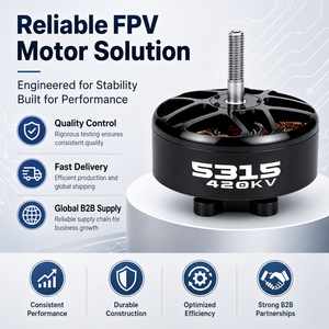 Motor sin Escobillas FPV 5315 420KV de Alto Torque para Drones de Carreras de Largo Alcance, UAV Multirrotor, OEM, ODM, Venta al Por Mayor - Product Image 6
