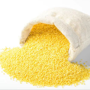 Harina de Gluten de Maíz Natural con Alto Contenido de Proteína en Venta - Product Image 1