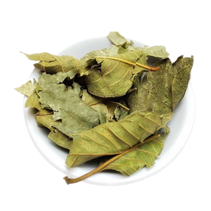 Hoja de Guayaba Seca de Calidad Garantizada de Vietnam para Exportación de Té de Hierbas - Product Image 1