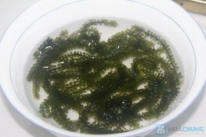 Estas son las uvas marinas de algas marinas Premium que son muy apreciadas y tienen un precio más asequible: El Loto Azul de Vietnam - Product Image 4