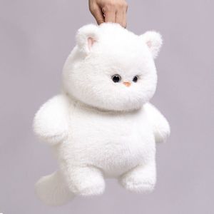 Carino grasso bianco e nero bambola gatto peluche animale cattivo per ragazzi e ragazze - Product Image 6