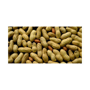 ถั่วลิสงดิบแห้งแบบไม่มีเปลือกบรรจุภัณฑ์แบบแคนาดา - Product Image 4