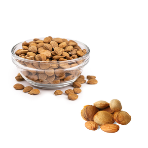 Grano de albaricoque | Alta demanda en la industria nutracéutica - Product Image 3
