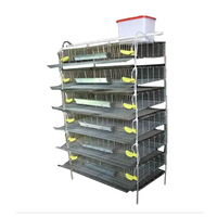 Cages à cailles de couche pour l'Afrique du Sud, équipement agricole de cage à cailles en plastique