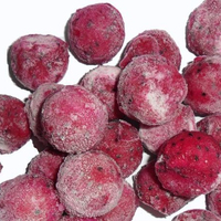 Viet Delta IQF Rode en Witte Dragon Fruit Bulk met Premium Kwaliteit Diepvries Pitaya Fruitblokjes en -stukjes