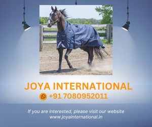 Tapis de cheval miniature Indian Horsewear Turnout 300gm tapis de cheval rambo pliable - Product Image 2