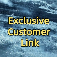 exclusive customer link Software service