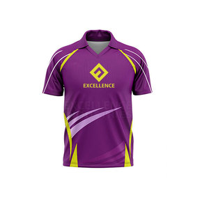 Servicio OEM, Uniforme de Cricket con el Mejor Diseño, 100% Poliéster, Colores y Tallas Personalizadas, Ropa de Equipo, Precio al por Mayor - Product Image 2
