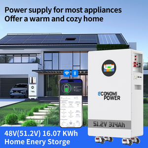 Batería de ciclo profundo LiFePO4 de 16 kWh, 48 V, 314 Ah con BMS de 200 A, para almacenamiento de energía solar doméstica - Product Image 2