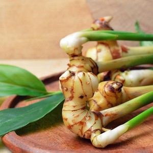 Racines de galanga frais de qualité supérieure au meilleur prix racine de gingembre galanga thai pour la vente en gros - Product Image 2