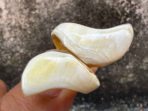 Anillo de Cuerno de Búfalo Pulido, Joyería para Fiestas, Bodas y Aniversarios, Color Natural, Gran Venta - Product Image 3